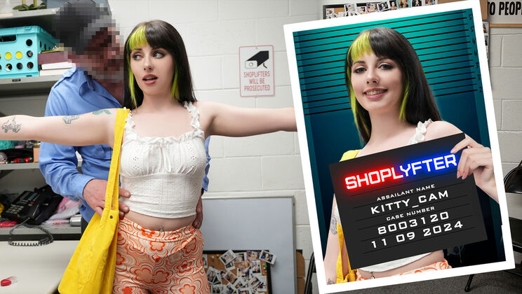 Shoplyfter - Mike Mancini - Kitty Cam - Case No. 8003120: The Artist In Distress / 09.11.2024